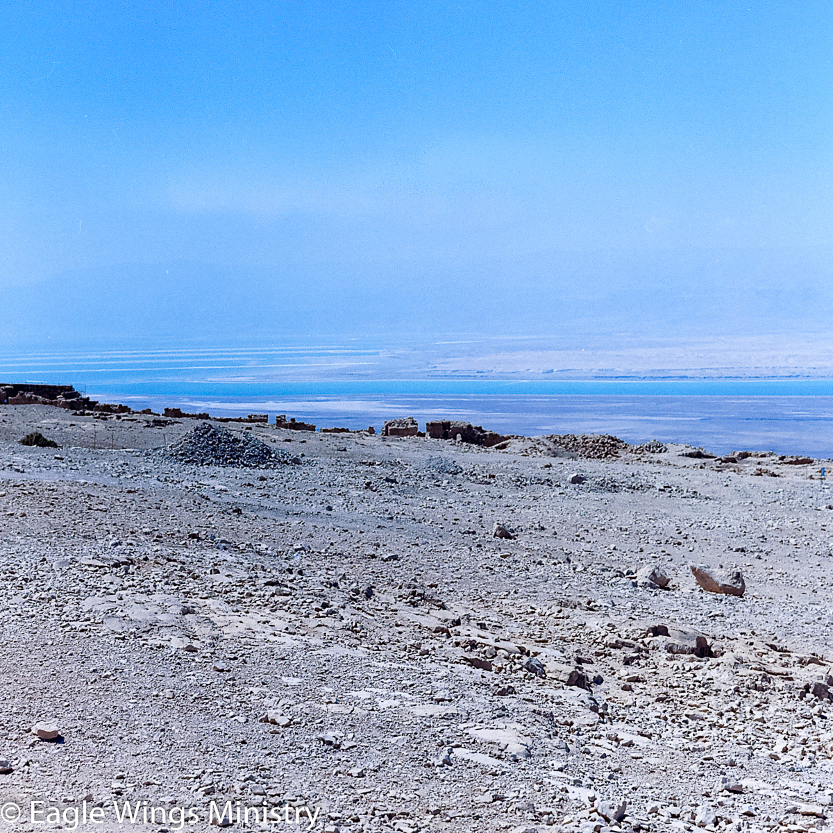 The Dead Sea